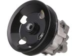 Stark SKHP-0540198 - Oe 2 466 4801 Servo Pompa Per Vito (W638), Classe V (638/2)
