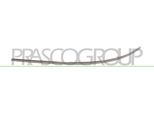 Prasco ME3261228 - Oe A1698851521 Modanatura, Paraurti Anteriore Sinistro Per Classe A (W169)