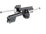 Ridex 854S1702 - Oe 168 320 06 30 Ammortizzatore, Asse Anteriore Per Classe A (W168)