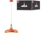Paulmann Neordic Lampada A Sospensione Juna
