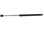 Stark SKGS-0220889 - Ammortizzatore Portellone Posteriore Oe 51247148902 Per R56