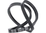 Skf Vkmv 13.7X975 - Cinghia Trapezoidale Oe 11720 AD200 Per X-Trail (T30), Primera (P12), Almera Tino (V10), Almera Ii (N16)