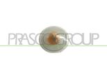 Prasco FT1334139 - Indicatore Oe 46522717, Indicatore Laterale Per Punto