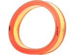 Bosch 1 457 433 330 - Filtro Aria Oe 46536482 Per Seicento