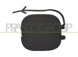 Prasco FT1241286 - Oe 735537018 Flap, Gancio Di Traino Posteriore Per Panda