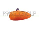 Prasco FT1374139 - Indicatore Oe 46799252, Indicatore Laterale Per Bravo