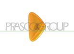 Prasco FT9204139 - Indicatore Oe 6325G1, Indicatore Laterale Per Ducato