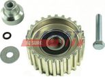 Fast FT44643 - Puleggia Folle Oe 500388688, Cinghia Di Distribuzione Per Ducato