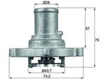 Mahle Ti 122 87D - Termostato Acqua Di Raffreddamento Oe 46523118 Per Bravo, Brava, Idea, Marea, Palio, Punto, Stilo, Strada