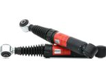 Trw JGT230T - Ammortizzatore Oe 71712490, Asse Posteriore Per Punto