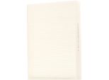 Stark SKIF-0170340 - Filtro Aria Abitacolo Oe 6000620027 Per Talento, Vivaro (X82), Vivaro B (X82), Grand Scenic Iii (Jz), Scenic Iii, Trafic Iii (Jg), Trafic Iii (Fg), Trafic Iii (Eg)