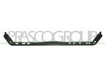 Prasco FT1323218 - Supporto Radiatore Oe 7735817 Per Punto