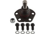 Trw JBJ278 - Oe 3640 33 Giunto Sferico Inferiore Anteriore Per Ducato, Boxer
