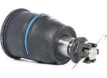 Stark SKSL-0260267 - Giunto Sferico Inferiore Anteriore Oe 51220 Sda 305 Per Accord Vii