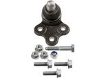 LemfÖRder 34418 01 - Oe 50705463 Giunto Sferico Anteriore Per Bravo, Stilo