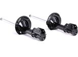 Ridex 854S1679 - Ammortizzatore Oe 46755676, Asse Anteriore Per Punto