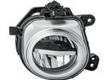 Hella 1N0 354 876-021 - Oe 63 17 7 317 252 Fendinebbia Anteriore, Destro Per X5 F15, F85, X6 F16