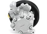 Stark SKHP-0540180 - Oe 4 466 91 01 Servo Pompa Per Classe C (W203), Classe C (CL203), Classe C (S203), Classe Clc (CL203), Clk (C209), Clk (A209), Cls (C219), Classe E (W211), Classe E (S211), Classe M (W164), Classe R (W251), Classe S (W220), Classe S (W221), Classe S (C215), Slk (R171)