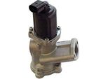 Magneti Marelli 571822112002 - Oe 55206931 Agr-Ventil FüR Panda, Idea, 500 (312), Ka (RU8)