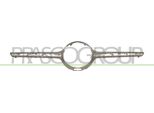 Prasco ME7152246 - Oe 25388809009982 Modanatura, Griglia Radiatore Per Glc (X253)