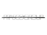 Prasco ME4421235 - Oe A2058852474 Modanatura, Paraurti Anteriore, Per Classe C (S205), Classe C (W205)