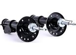 Ridex 854S1709 - Ammortizzatore Oe 50703539, Asse Anteriore Per Bravo, Stilo