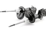 Ridex 854S2225 - Ammortizzatore Oe 46794432, Asse Anteriore Per Doblo