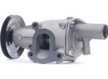 Stark SKWP-0520259 - Pompa Acqua Oe 46742168 Per Seicento, Panda