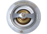 Nrf 725181 - Oe 212306N200 KüHlwasserthermostat FüR Juke (F15), Qashqai +2 I (J10), X-Trail (T30), Primera (P12), X-Trail (T31), Koleos I (Hy), Latitude (L70), Megane Cc, Megane Iii, Scenic Iii, Clio Iii, Fluence (L3), Grand Scenic Iii (Jz), Laguna Iii