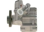 Bosch K S00 000 110 - Oe 51790281 Servo Pompa Per Qubo, Linea, Fiorino