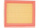 Stark SKAF-0060042 - Filtro Aria Oe 13721477840 Per Fusion, Fiesta V, 2 (Dy), R52, R50, R53