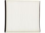 Stark SKIF-0170022 - Filtro Aria Abitacolo Oe 1354952 Per Focus Ii, V50 (545), S40 Ii (544), C70 Ii Cabriolet (542), C30 (533)