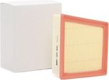 Valeo 585160 - Filtro Aria Oe 1516725 Per Transit Courier, Tourneo Connect, Fiesta Vi, B-Max, 2 (De, Dh)