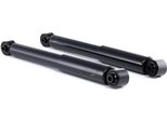 Ridex 854S1839 - Ammortizzatore Oe E6210 BR04A, Asse Posteriore Per Qashqai +2 I (J10)