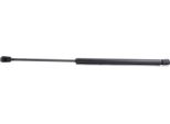 Ridex 219G0575 - Ammortizzatore Posteriore Oe 90450 AX000 Per Micra Iii (K12)