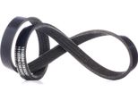 Ridex 305P0342 - Cinghia A V Oe 1353946 Per Mondeo Iii, Crafter (2E), Crafter (2F)