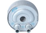 Nrf 31184 - Radiatore Olio Oe 213055M300 Per Almera Ii (N16), Navara (D22), Pick-Up (D22), Primera (P12), X-Trail (T30)