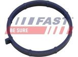 Fast FT49467 - Guarnizione Del Collettore Di Aspirazione Oe 1749297 Per Transit, Transit Tourneo