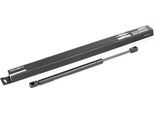 Ridex 219G0387 - Ammortizzatore Posteriore Oe 81850M68K00 Per Pixo (UA0)