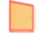 Stark SKAF-0060256 - Filtro Aria Oe 1 516 725 Per Transit Courier, Tourneo Connect, Ka+ (Fk), Fiesta Vi, Ecosport, B-Max, 2 (De, Dh)