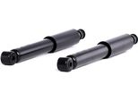 Ridex 854S2224 - Oe 550125 StoßDäMpfer Per Pick-Up (D21), Pick-Up (D22)
