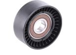 Stark SKTP-0600179 - Oe 1 125 419 Puleggia Tenditore, Cinghia A V Per Mondeo Iii, Transit