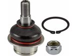 Trw JBJ730 - Giunto Sferico Oe KTYC15 3468 Af Per Tourneo Connect, Transit Connect, Transit, Transit Tourneo