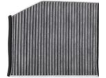 Stark SKIF-0170427 - Filtro Aria Abitacolo Oe 1839 688 Per Transit V363, Transit Custom, Tourneo Custom, Classe S (W222)