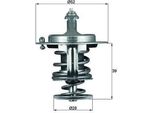 Mahle Tx 71 82D - Oe 3 396 924 KüHlwasserthermostat FüR Ranger (Et), Ranger (Eq, Er, R), 323 (Bj), 5 (CR19), 6 (G), 323 (Ba), 3 (Bm, Bn), 3 (Bl), 3 (Bk), 2 (De, Dh), CX-5 (Gh, Ke), CX-5 (Kf), CX-7 (Er), Mpv I (Lv), Mpv Ii (Lw), MX-3 (Ec), MX-6 (Gd), MX-6 (Ge), Premacy (Cp), RX-8 (Fe, Se), Xedos 6 (Ca), Xedos 9 (Ta)