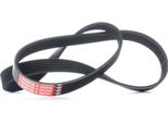 Gates 6PK1019SF - Keilrippenriemen Oe 1141317 Per B-Max, C-Max, Fiesta V, Fiesta Vi, Focus Iii, Fusion, Grand C-Max, Ka+ (Fk), 2 (Dy)
