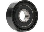 Stark SKDG-1080047 - Oe 1 120 687 Puleggia Folle, Cinghia A V Per Mondeo Iii, Transit