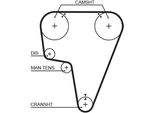 Gates 5125 - Cinghia Dentata Oe 60562106 Per Rz (162), 164