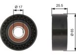 Gates T36394 - Puleggia Folle Oe 55195531, Cinghia Multipla Con Nervatura A V Per 159 (939)