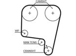Gates 5340 - Cinghia Dentata Oe 60500466 Per 155 (167), 164, Gtv (916), Spider (916)